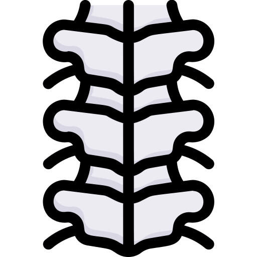 bone