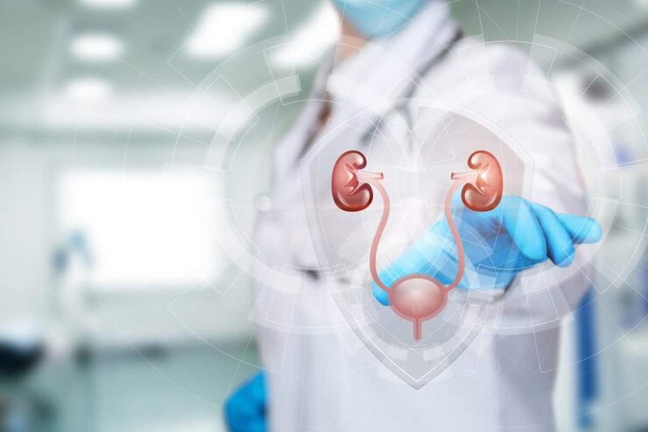 urology