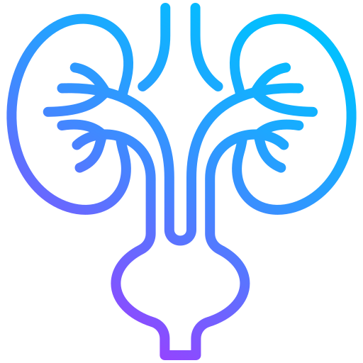 urology (1)